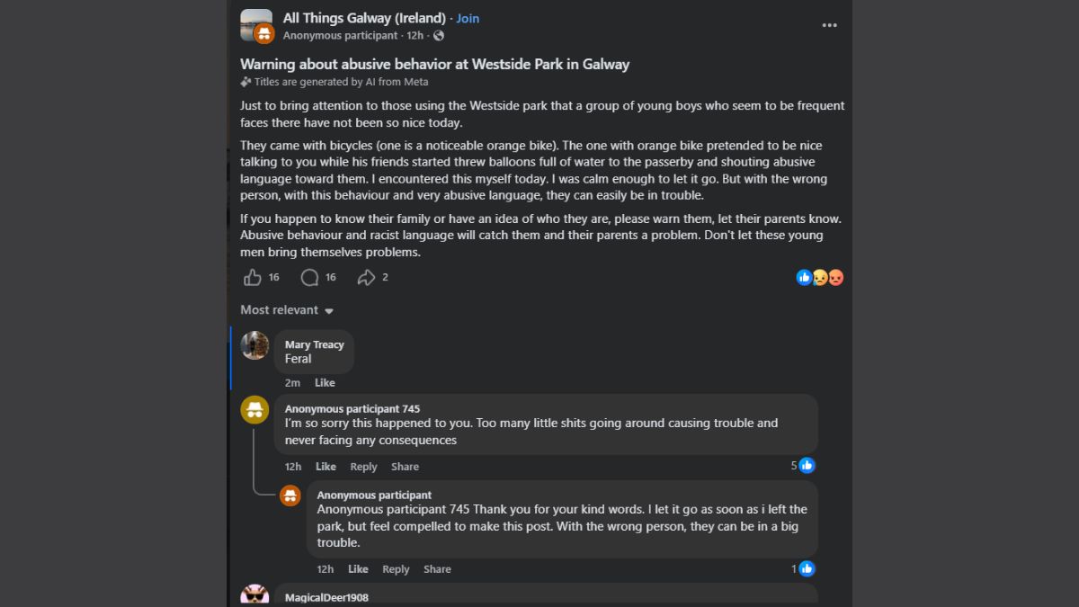Galway Community Alerts Authorities Over Disturbance at Westside Park