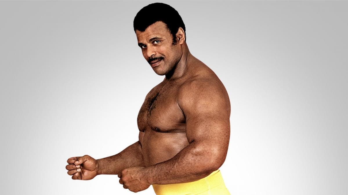 Rocky Johnson's Hidden Family Legacy Unveiled via DNA Testing